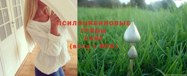 jwh Беломорск