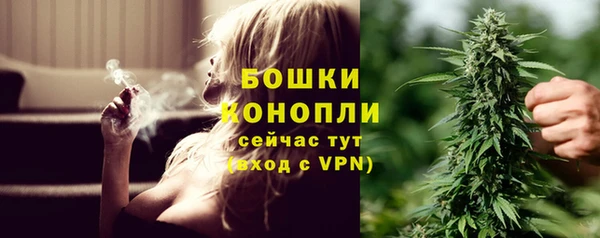 молекула духа Белокуриха